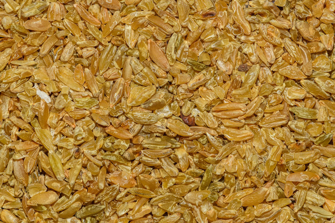 Foto apetitosa de freekeh em destaque, ilustrando a receita apresentada no blog Granuz